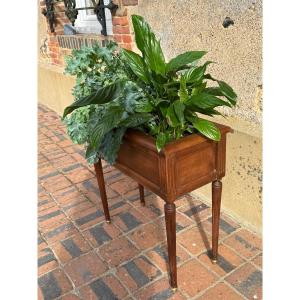 Louis XVI Style Mahogany Planter On Legs. 