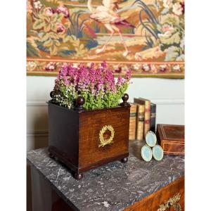 Empire Style Mahogany Planter. 