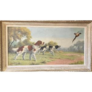 Hunting Dogs Pointing At A Pheasant. 