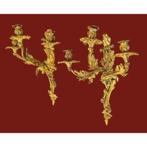 Pair Of Louis XV Wall Lights, 19th Century. H. 60 Cm (!!!)