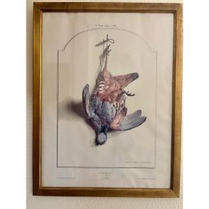 The Red Partridge, Lithograph By Edouard Traviés “1809-1876”