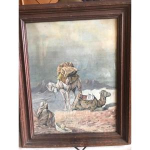 Albert Kull (1855-1921). Berber And His Camels