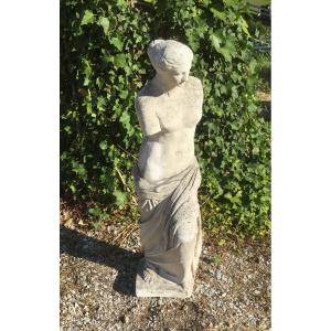 Statue Representing Venus