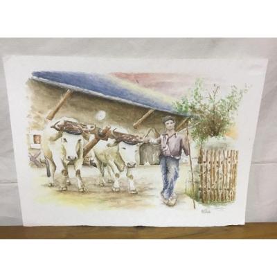 Watercolors By Mr. Gillotte