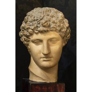 Patinated Plaster Bust