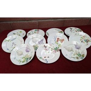 11 Porcelain Plates