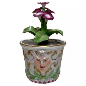 Rare Meissen Marcolini Flower Plant In A Tub Circa 1780 Porcelain