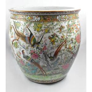 A Very Large Antique Qing Chinese Famille Rose Fish Bowl Or Jardiniere 51cm Tall