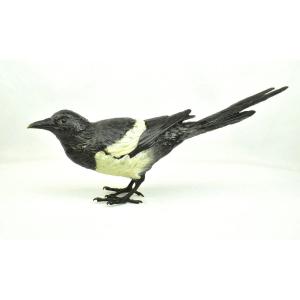 Antique Franz Bergman Cold Painted Signed Vienna Bronze Magpie Sculpture Bird