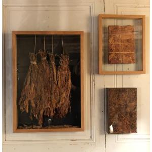 Tobacco Triptych In Oak Frames