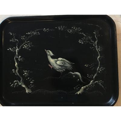 Large Tray In Boiled Cardboard "bird's-eye"