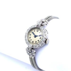 Vertex-supreme Platinum Case And 2-row Bracelet In 9ct White Gold, 0.80 Carat Dia