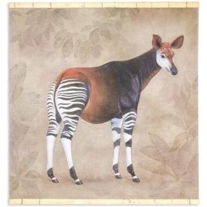 Painted Canvas Depicting An Okapi On A Gray Background. Contemporary. Ls63391621b