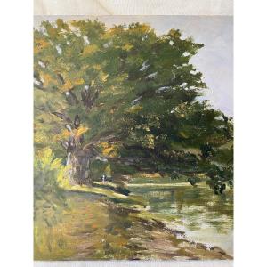 The Large Tree By The Water. Oil On Wood. 