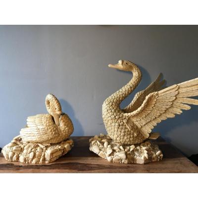 Rare Asiatic Goose Wedding Parade