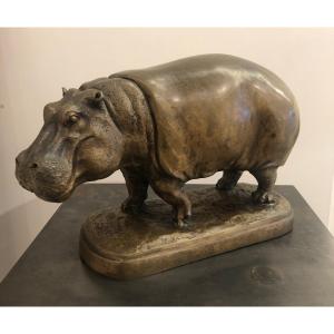 Hippopotamus In Bronze