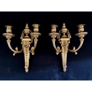 Pair Of Louis XVI Style Gilt Bronze Wall Sconces