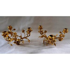 Pair Of Gilt Bronze Candelabra Light Clusters