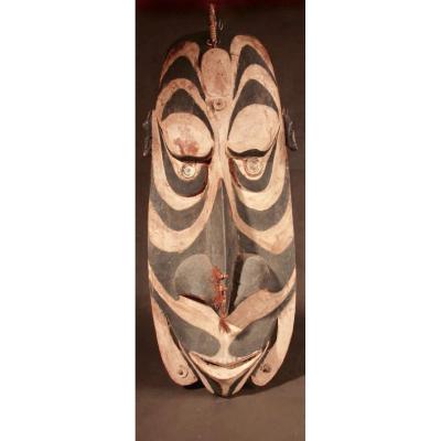 A Very Interesting And Decorative Original Shield Of The Sepik River