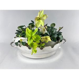 Glass Cooler/planter