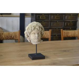 Sculpture Of A Head In Reconstituted Stone Carved In The Antique Style Of The 19th Century