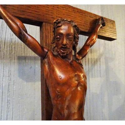 Grand Christ Carved Walnut Late 19th