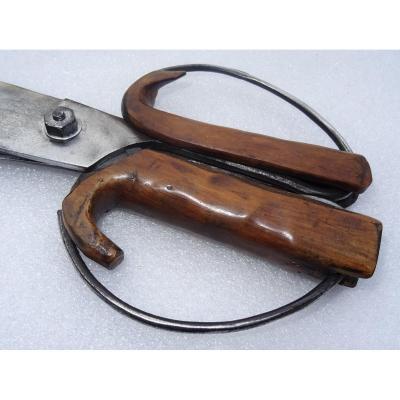 Pastoralism - Large Sheep Shearing Scissor 19th Signed Couranjou Elder In Toulouse