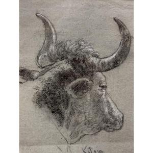 Drawing By Paul De Katow 1834-1897