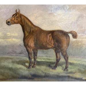 Horse, Oil On Canvas, 19th Century 