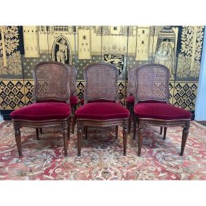 Suite Of 6 Louis XVI Style Cane Chairs