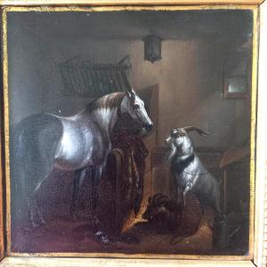 Stable Scene