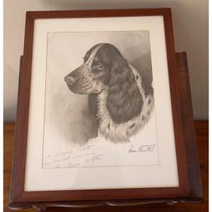 Watercolor Portrait Of A Hunting Dog Signed Jean Herblet Alias Boris O Klein