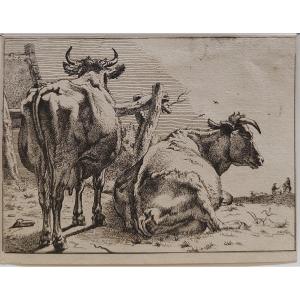 Paulus Potter 17th Engraving