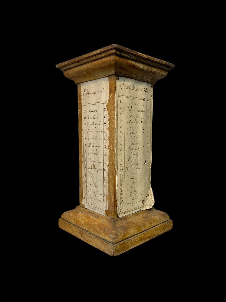 Fine XVIII secolo - Base per modello da studio anatomico in legno e carta manoscritta-photo-4
