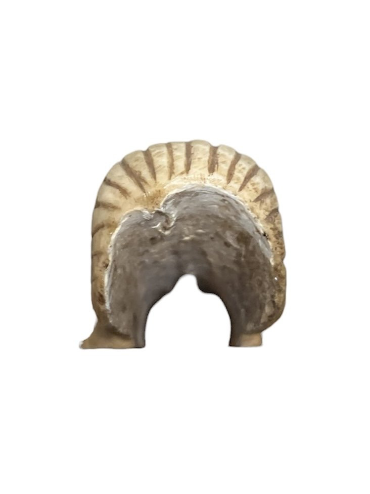 Placca da cassina in osso raffigurante un monaco o un apostolo - stile romanico-photo-8