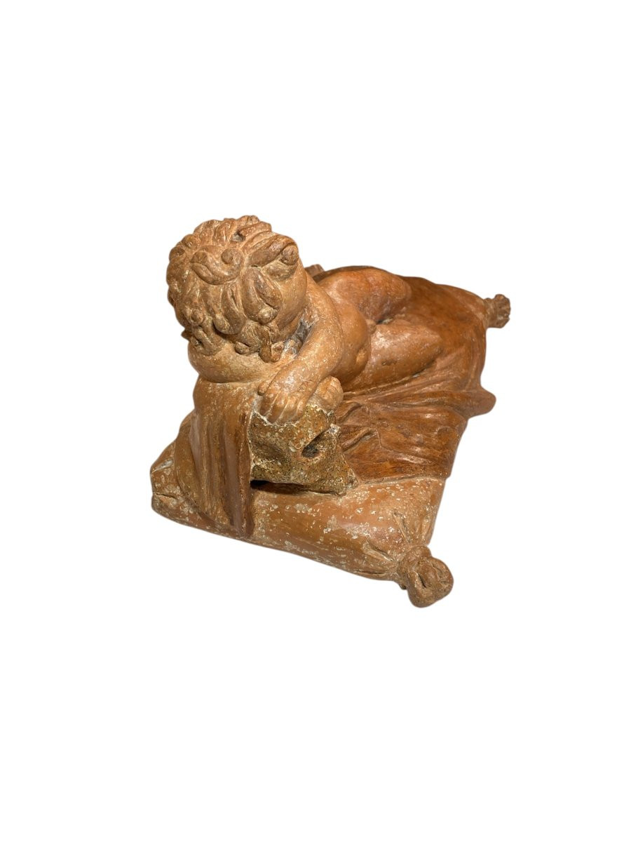 Roma - XVII sec. - Terracotta - Vanitas con putto e teschio-photo-1