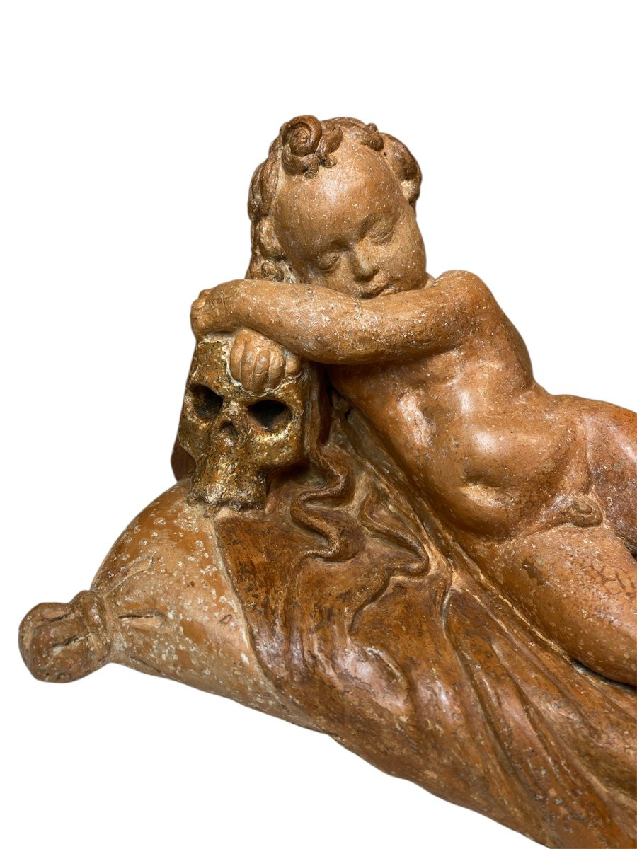 Roma - XVII sec. - Terracotta - Vanitas con putto e teschio-photo-6