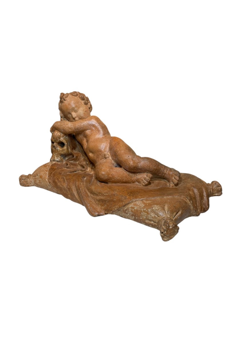 Roma - XVII sec. - Terracotta - Vanitas con putto e teschio
