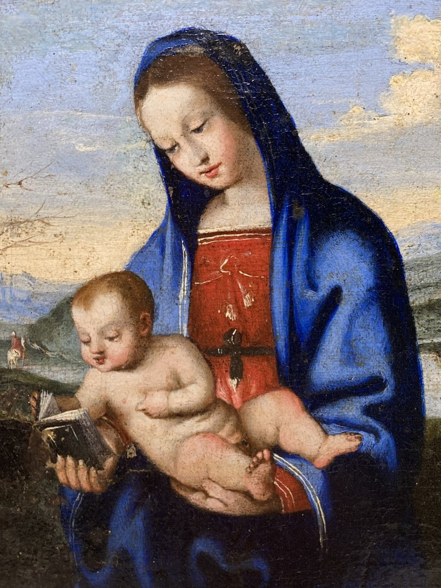 Lorenzo Costa (Ferrara, 1460 - Mantova, 1535) - Bottega di - Madonna del Libro - 1520/1530-photo-3