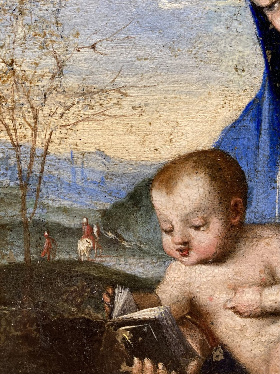 Lorenzo Costa (Ferrara, 1460 - Mantova, 1535) - Bottega di - Madonna del Libro - 1520/1530-photo-1