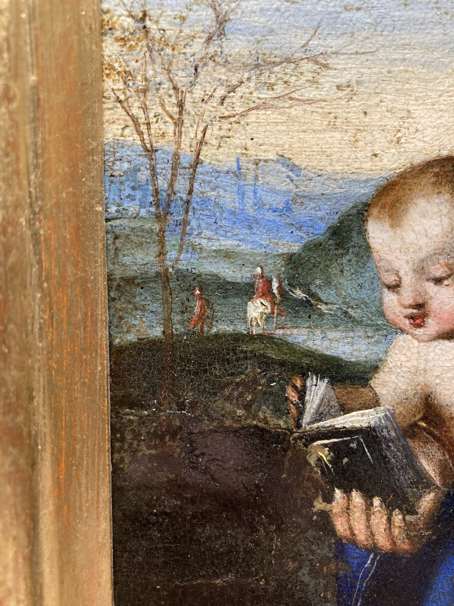 Lorenzo Costa (Ferrara, 1460 - Mantova, 1535) - Bottega di - Madonna del Libro - 1520/1530-photo-4