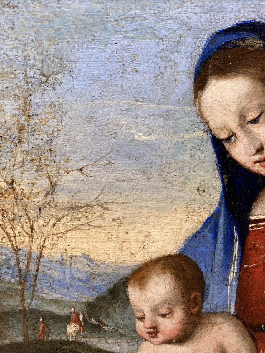 Lorenzo Costa (Ferrara, 1460 - Mantova, 1535) - Bottega di - Madonna del Libro - 1520/1530-photo-6