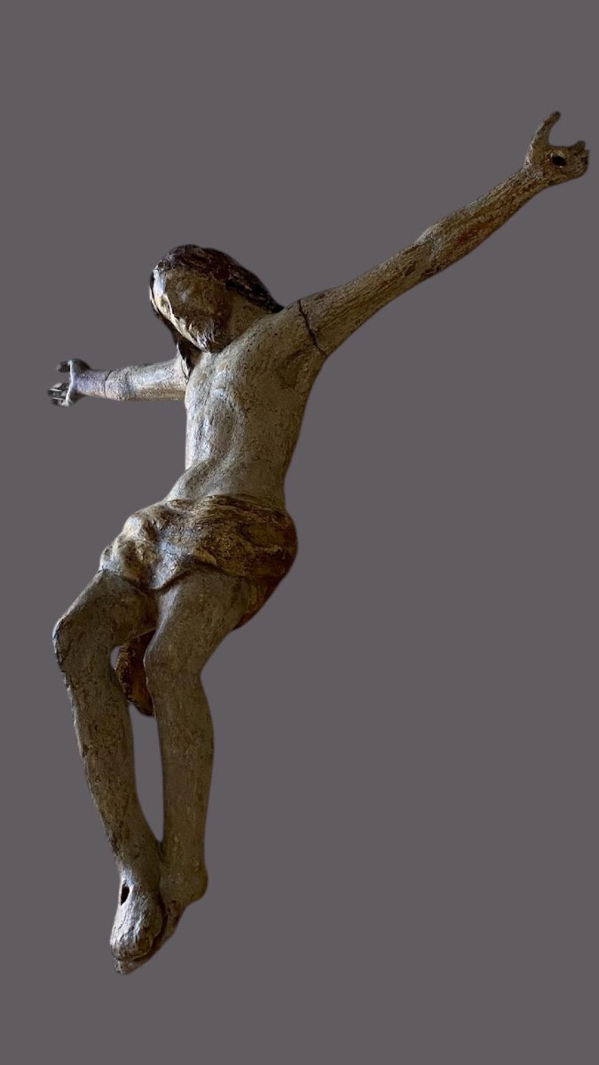 Inizio XVI secolo - Toscana - Corpus Christi in legno policromo intagliato