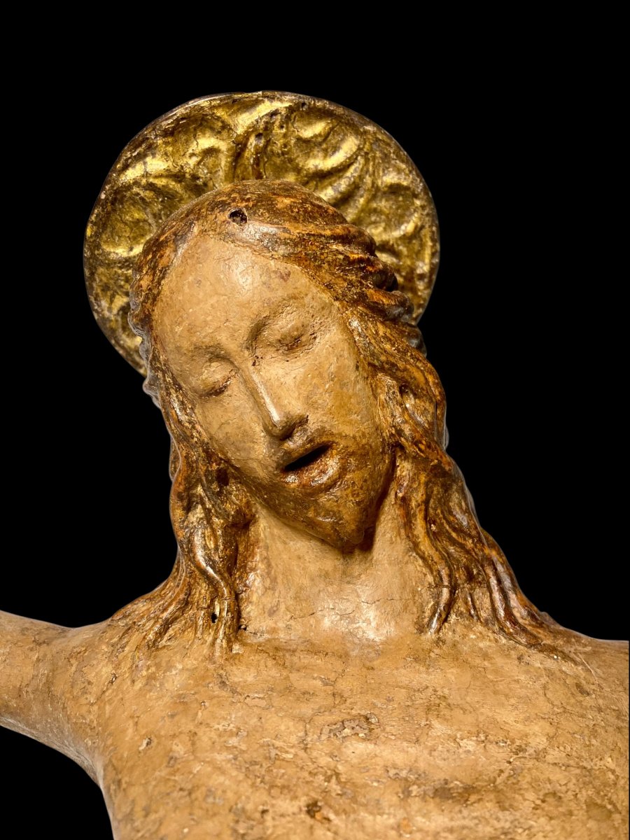  Benedetto da Maiano (Bottega di) - 1480/1490 - Crocifisso in legno policromo e tela gessata -photo-4