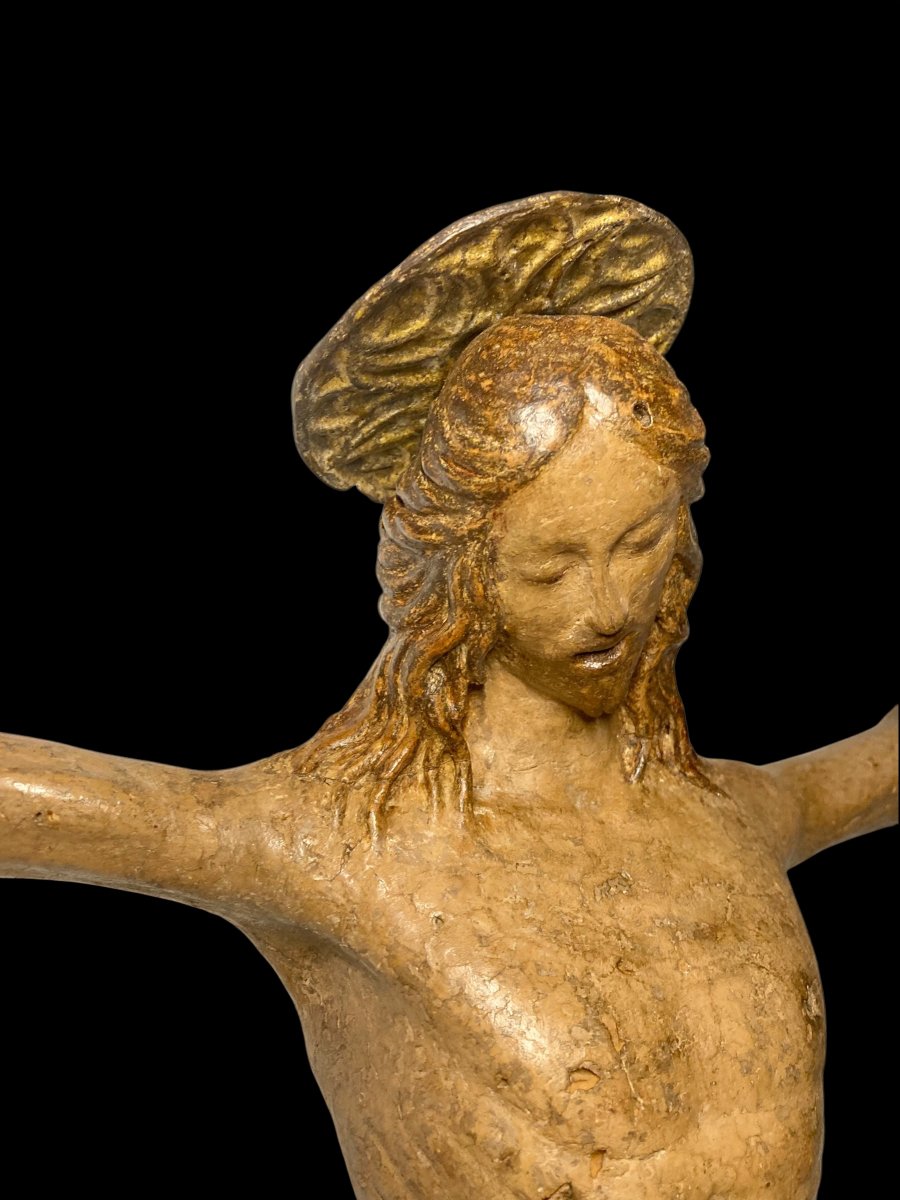  Benedetto da Maiano (Bottega di) - 1480/1490 - Crocifisso in legno policromo e tela gessata -photo-7