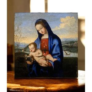 Lorenzo Costa (Ferrara, 1460 - Mantova, 1535) - Bottega di - Madonna del Libro - 1520/1530