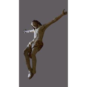 Inizio XVI secolo - Toscana - Corpus Christi in legno policromo intagliato