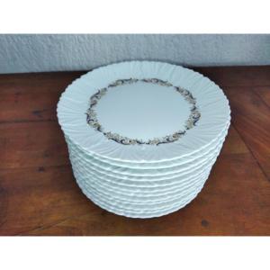 Limoges Jammet-seignolles 12 Porcelain Dessert Plates "venus" 19cms