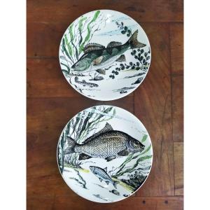 Gien "chambord" 2 Earthenware Plates Decorated With Predatory Fish Pike Carp