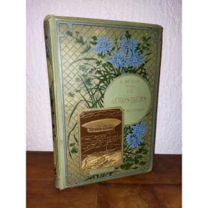 Military Aerobatic Boats G. Béthuys Illustrations Gil Baer Paris 1889 Collection